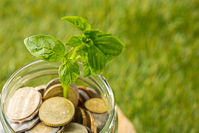 mutual-funds-1