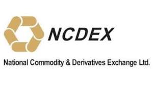 National Commodity &amp; Derivatives Exchange (NCDEX) Limited Unlisted Shares